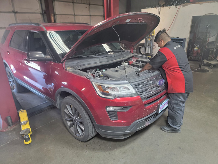 Cchs Student Intern Highlight